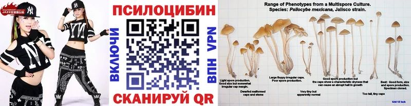 Галлюциногенные грибы GOLDEN TEACHER  Городище 
